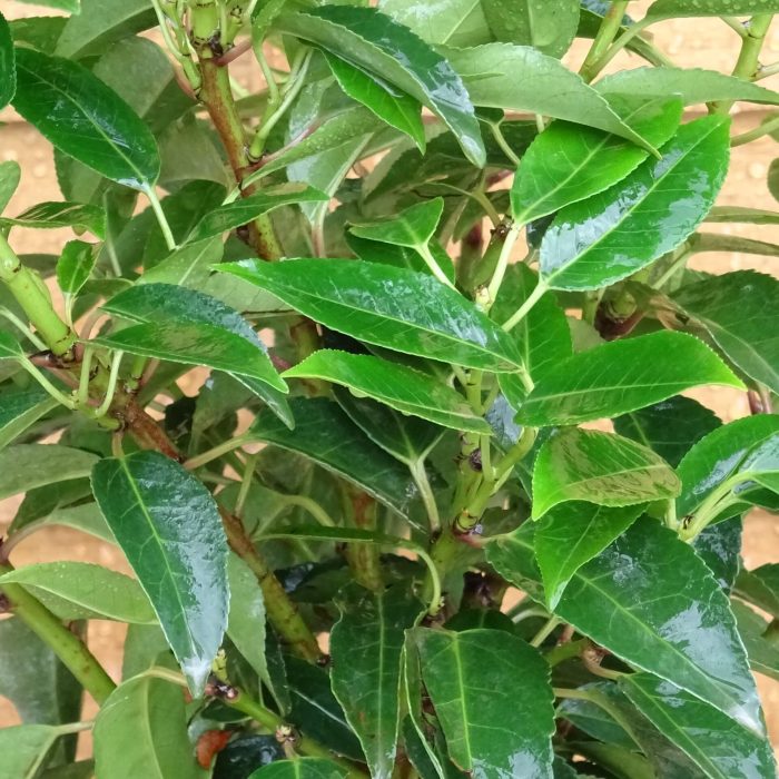 f44440d2-6aa5-42ff-a0b4-1b95b5b66a75