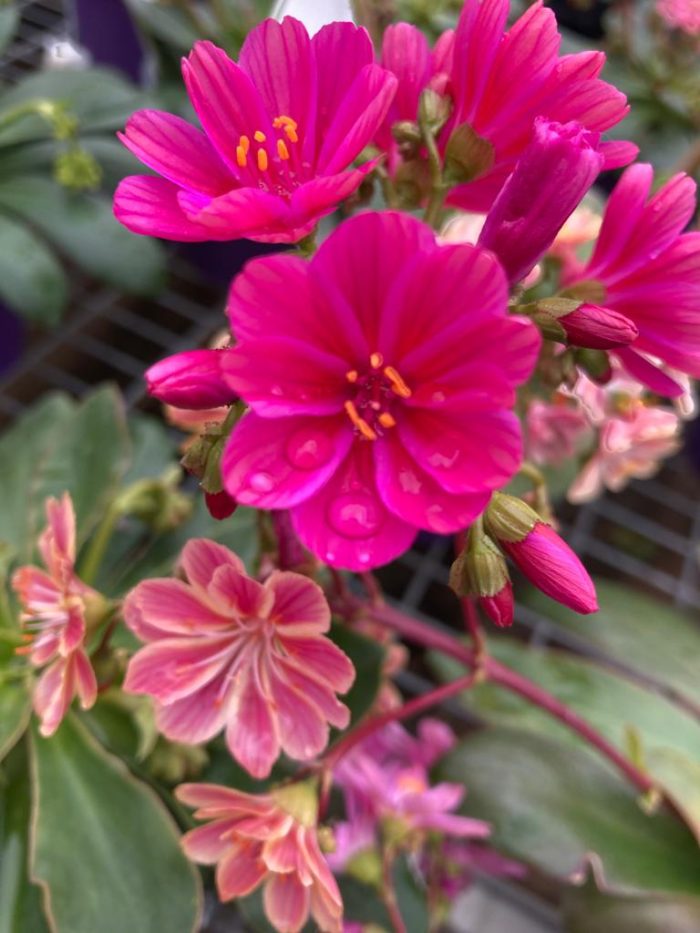 f1b4efd0-46af-4348-a9e8-c32bcb602642