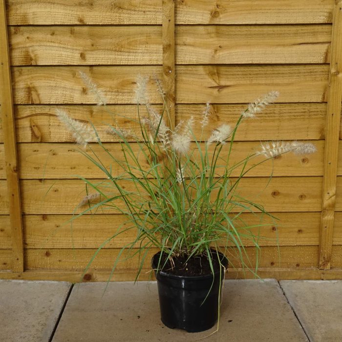 be899c10-5f0e-4696-93d4-5b6cc1de1177