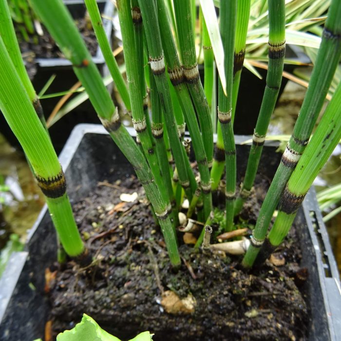 8f97673c-1b3f-4449-ba2a-6ddc956ff8dd