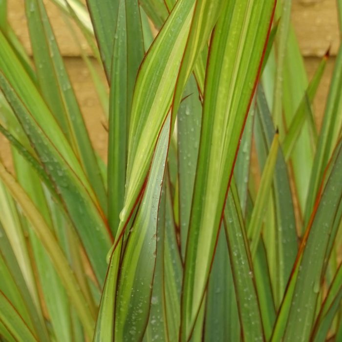 0656b298-19e1-42ca-ae55-21bef10c3e28