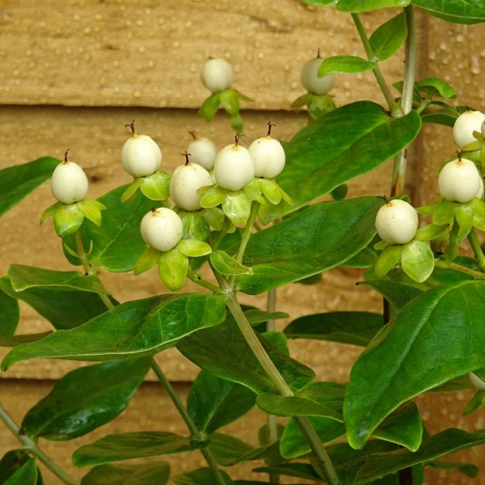 a3e5ea11-bc98-43f4-bb2e-86c9db58199f