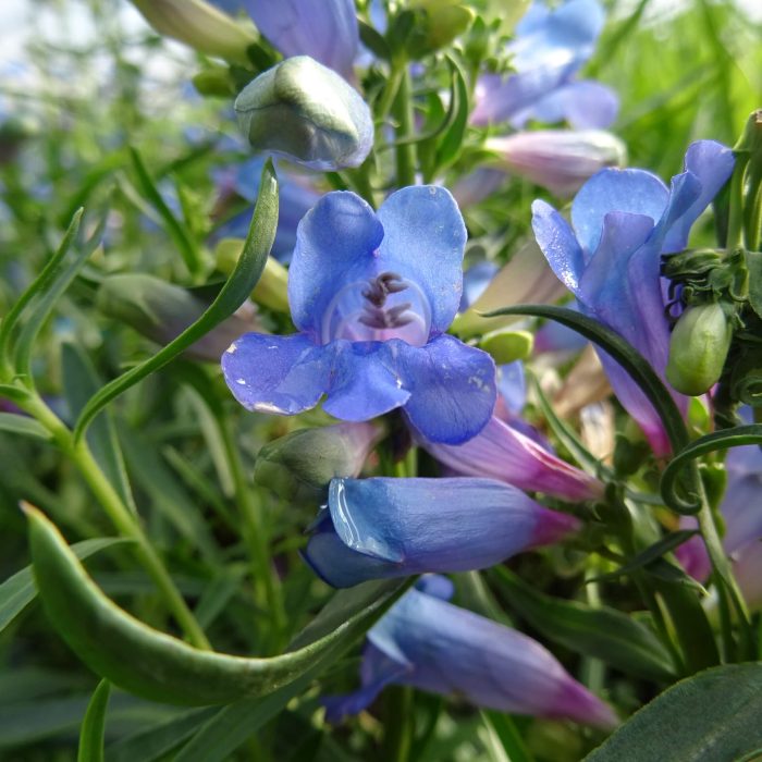 a8e81ee3-4830-48bd-ba58-b6f84bcd28bf