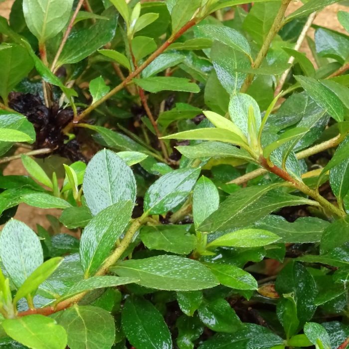 d70f84dd-d082-481a-bb71-44d038513df5