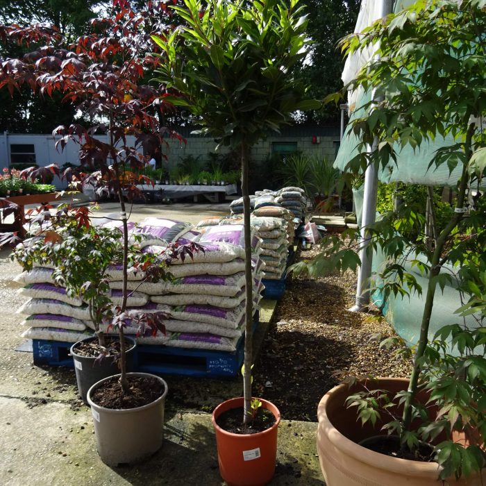 86c7cdf0-00ae-4964-b524-29adf9f5e31f