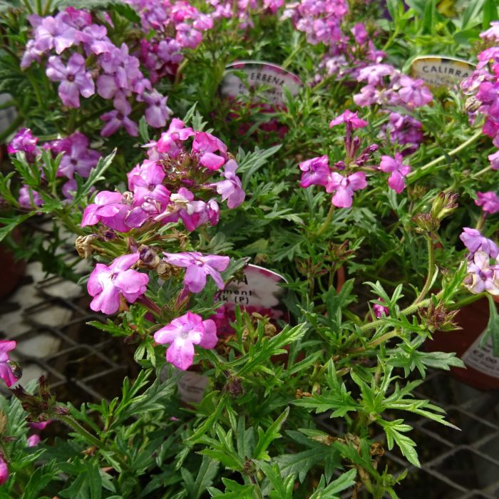 eab8596d-01d5-4398-a568-ef5355da7888