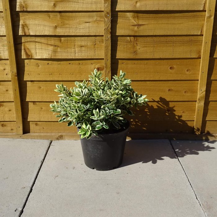 60e207b3-d313-480b-8268-f3100cb14f1e