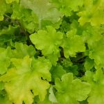 cc66c3ef-3bc4-4e74-aa3e-0f0a0d943ca4
