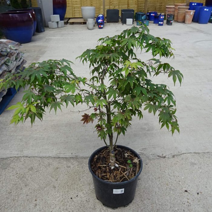 e86b0e10-c4d6-4643-a8b7-5844461c7b95