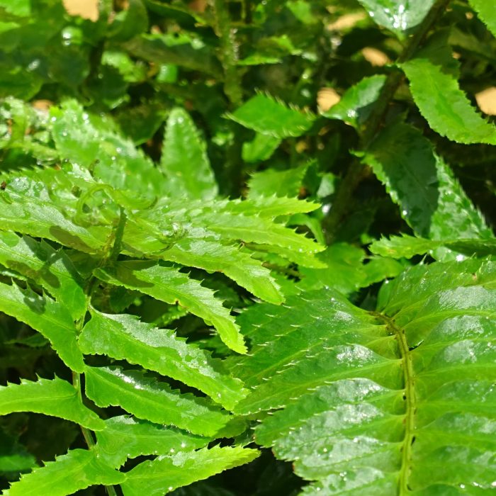 fa3c964c2961c5c959afb57420f9e7dc.jpg 5900a2af-d4a2-4082-8c63-d7623f6b9ed7