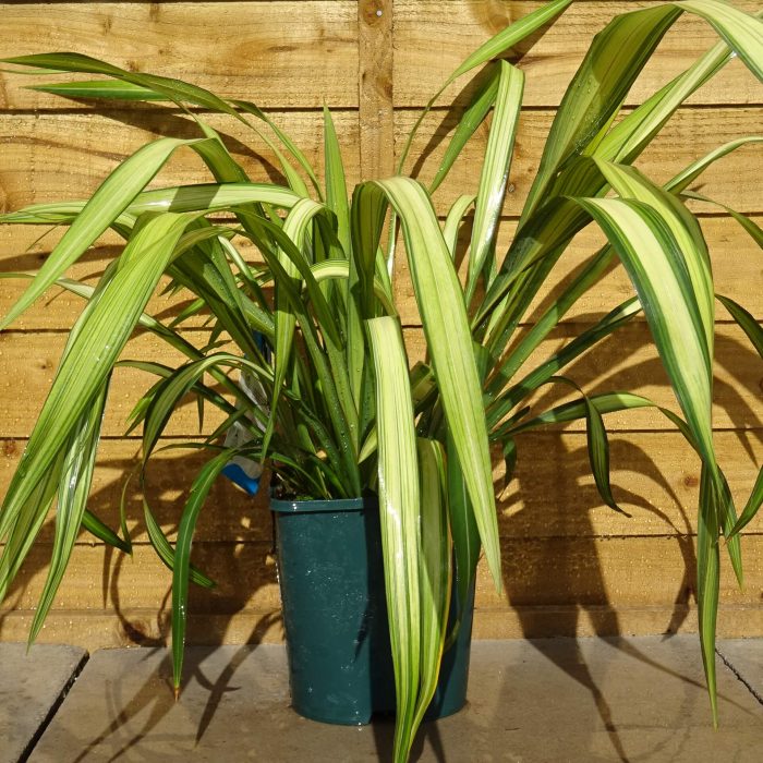 262083c0-857d-4325-8172-6214a5b38b84