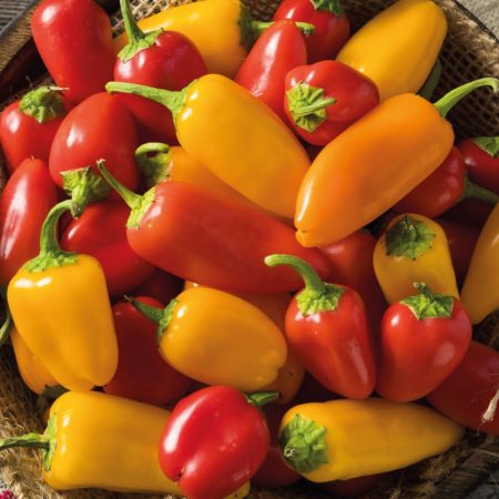 0d8e34ce-c3cf-4a31-8c8a-900cd256beaa