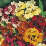 8f65ed9c-e026-4207-8c40-1b37c6916ff2