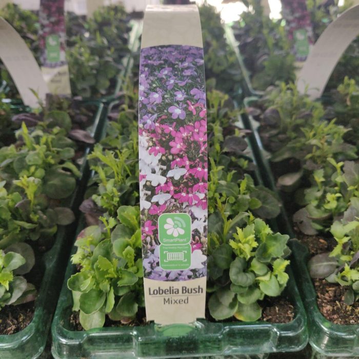 3369ff93-d6e8-43c7-baac-f88cbad9f004