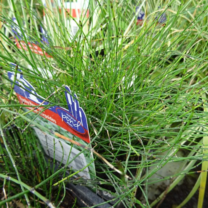 3edf9fea-9cec-4de8-9459-abb6dd6458fe