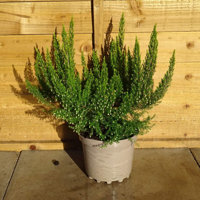 75841282-b93e-475d-a7c4-7bdfd11f8cdf