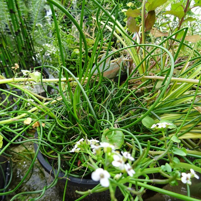 ce46aad7-14a8-4a16-bbd3-a8777de079c2