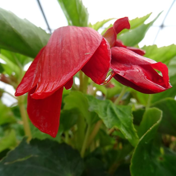 eb6503fd-eec9-4295-9380-d1ed30a99a77