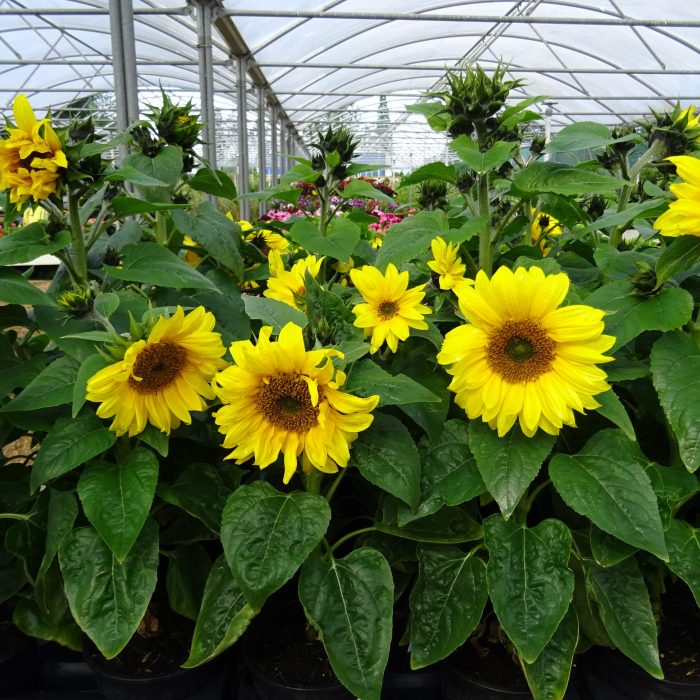 7cb2fa62-7e8f-48a0-8636-6078d6b121bd