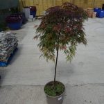 93bbcf83-f625-4f6c-a52d-e1c88141c845