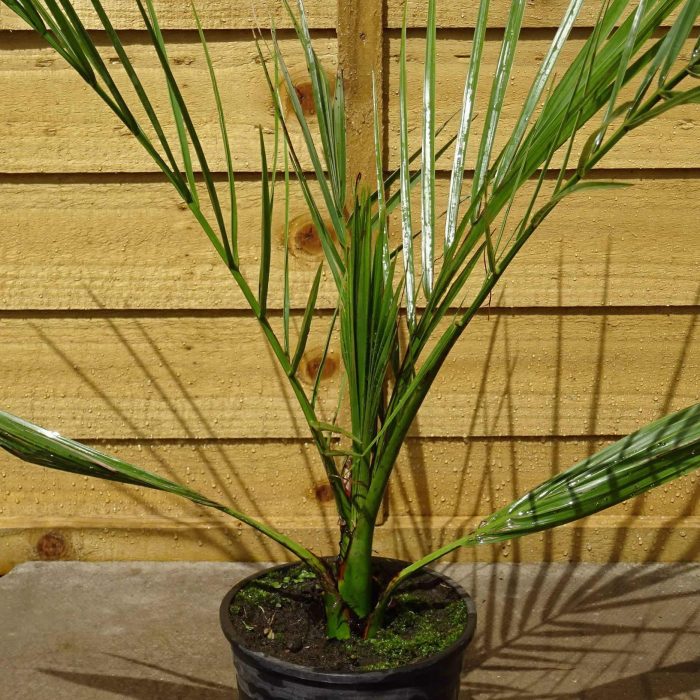 489fe842-88c0-47bf-bea7-f1109b8de57f