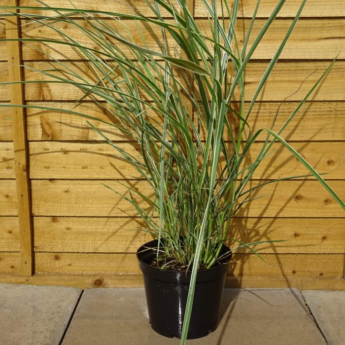 8ab6cd90-c48f-437a-ab12-befb54e854a3