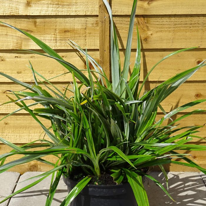 d89c538d-cd04-48c9-93f8-7b8afa403c08