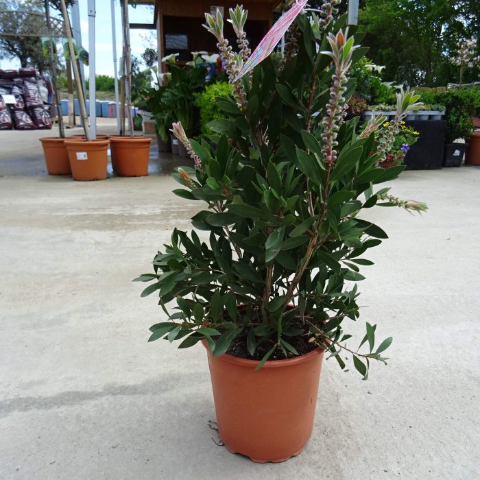 fe38fceb1b3041134c893fca63a4e203.jpg 39777087-6678-42cf-b408-bc1f477e8cee