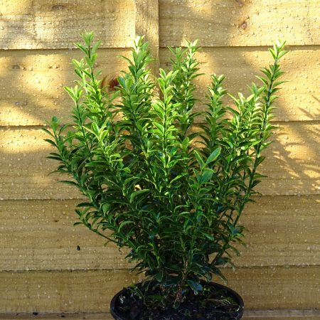 64049485-c5ff-45cc-8fa6-d9091f70a5d7