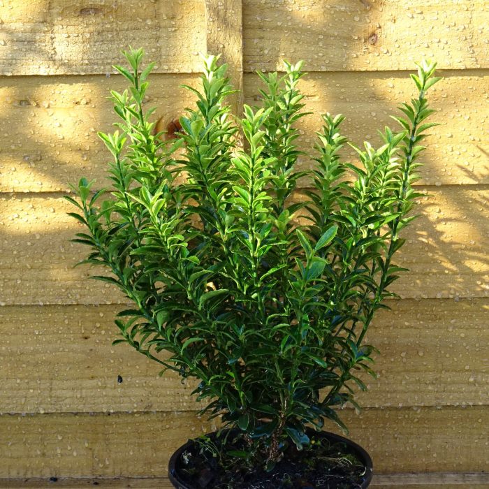 fe68558654efae21fcc8163013bfcb77.jpg 64049485-c5ff-45cc-8fa6-d9091f70a5d7