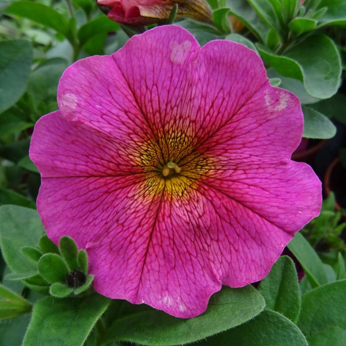 60741146-24f2-48e2-9e13-e5ff743b4bb5