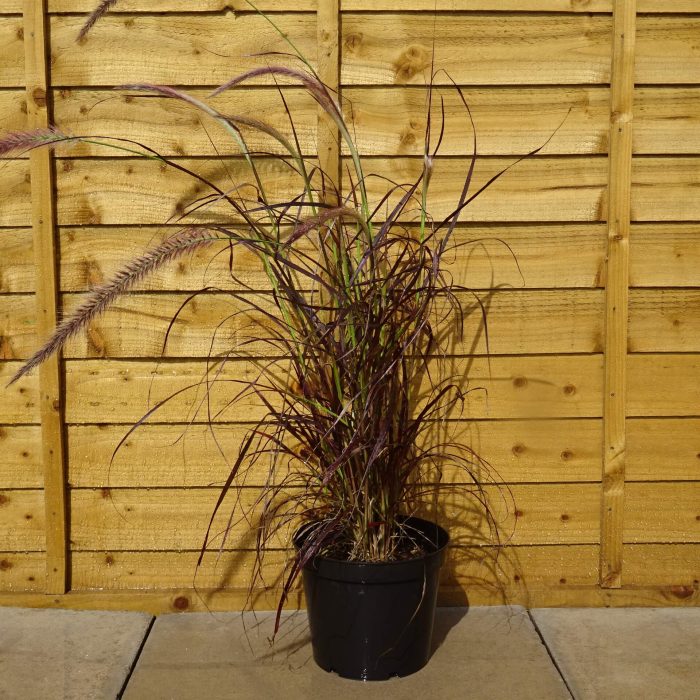 81471824-b1de-4e00-9caa-5c67396e20c8