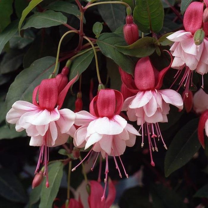 fefb8655d59032c0ba730bbb00a60ec3.jpg 4f17e8b9-e904-4a0c-b52c-f6209f78a9c2