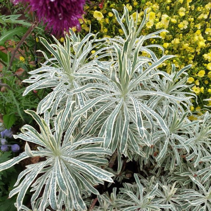 ff63cd8bc88c83e16a8acbfc63e2f954.jpg c7877d23-8a5d-4d2e-84b4-2d478a24eb2d