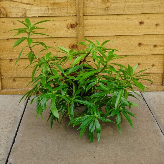 c045d1d6-32c7-4fd6-8a9a-bf79a3863f0b