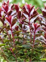 c7faaf34-e29f-4c92-8c35-6c4ca99be427