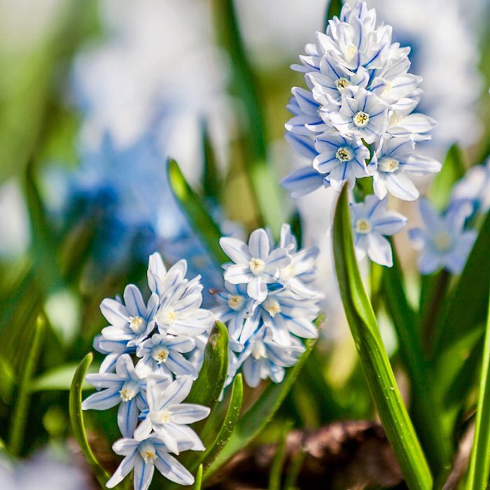 Processed with MOLDIV 7d34a3dc-663a-460d-bd9d-eb8e0605b109