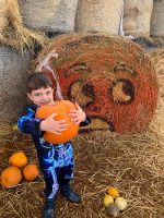 Pumpkin Patch PYO 2025 - Image 2