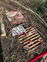 Pumpkin Patch PYO 2025 - Image 4