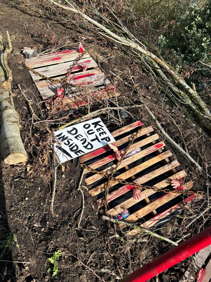 Pumpkin Patch PYO 2025 - Image 4