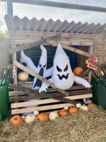 Pumpkin Patch PYO 2025 - Image 6