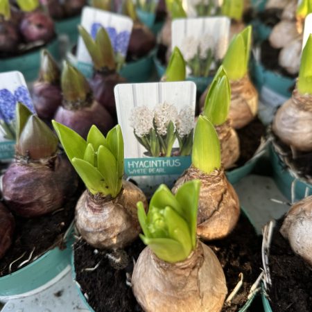 f36a382e-8fea-4a2a-9564-ffaf5a280299