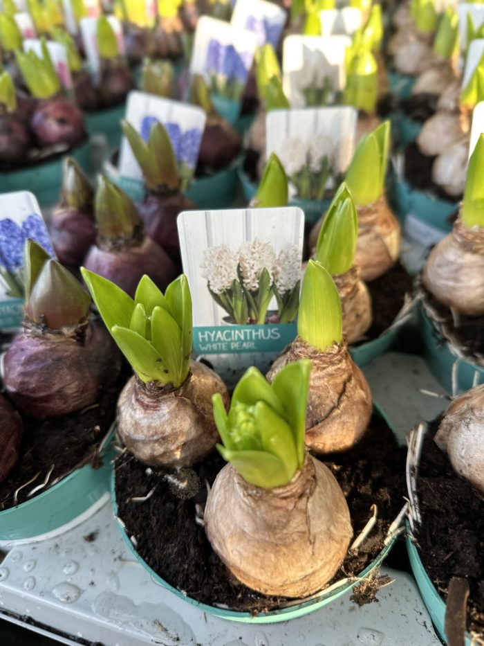 f36a382e-8fea-4a2a-9564-ffaf5a280299