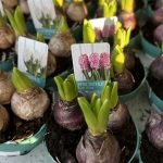 3fb003cc-cca6-4a27-a20f-9ad7622e6957