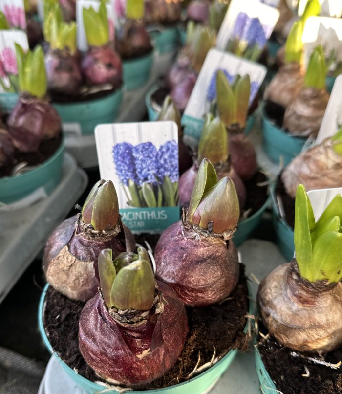 8715ed02-5c57-4df0-8efb-85f53506ecf8