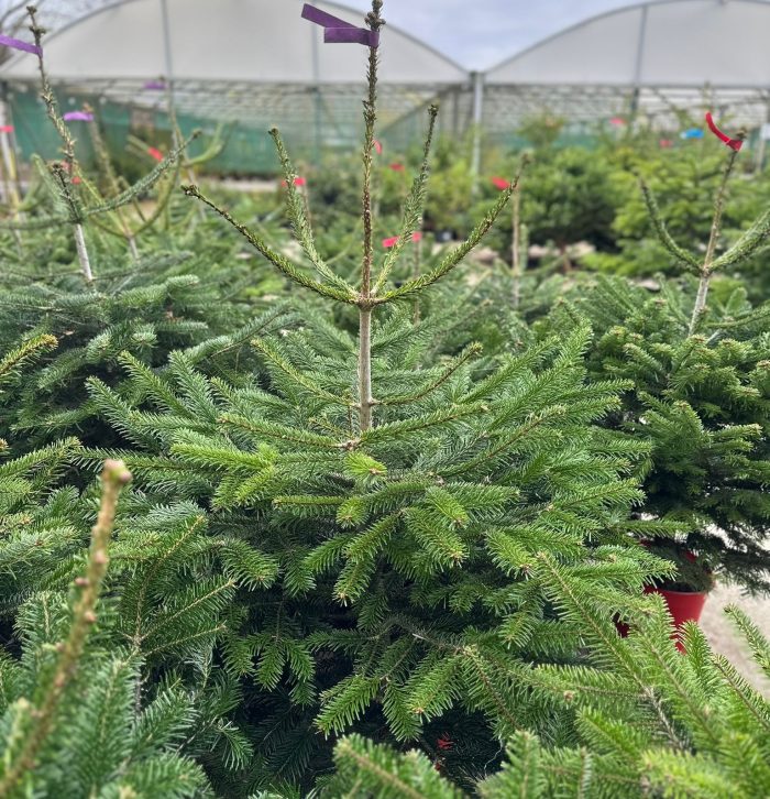 ed5577aa-c370-4b80-8592-272f474a8ce8