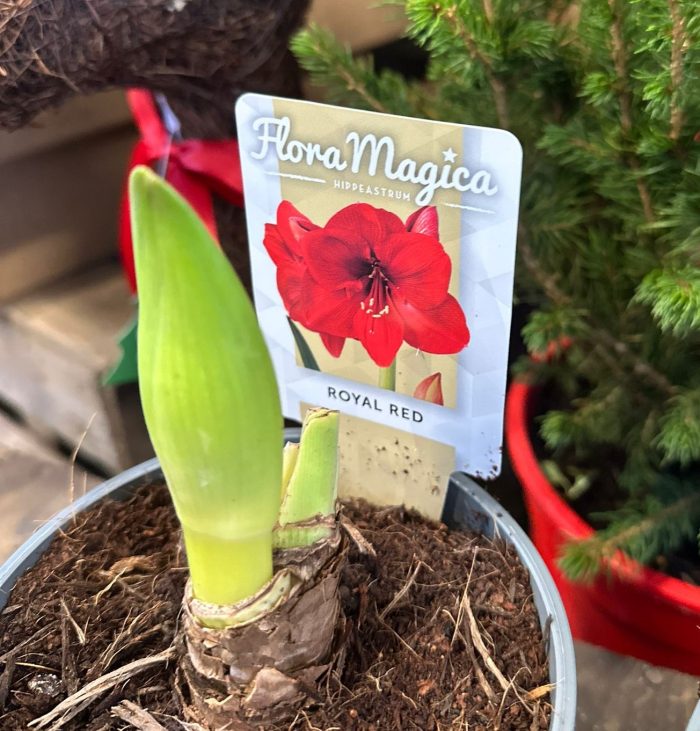 4d2af087-6591-486a-a09f-7990d759ccef