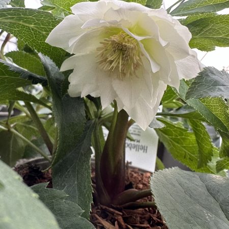 0da12dcd-9fe8-4c03-813b-77699eaf33e6