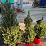 662a99e1-b5a3-4729-b6ac-f896485017e7