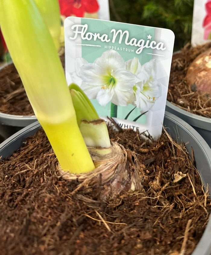 740d1597-97a3-46e7-ab9b-fa6c079792f0